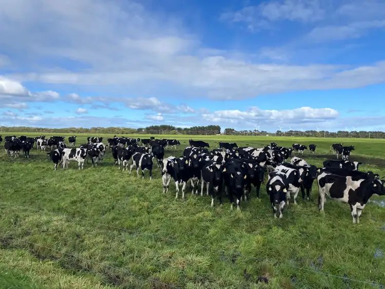 Second view of Homely rural property listing, 10/648 West Montagu Road, Woolnorth TAS 7330