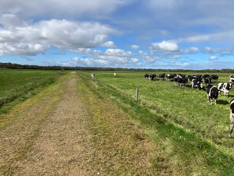 Fifth view of Homely rural property listing, 10/648 West Montagu Road, Woolnorth TAS 7330