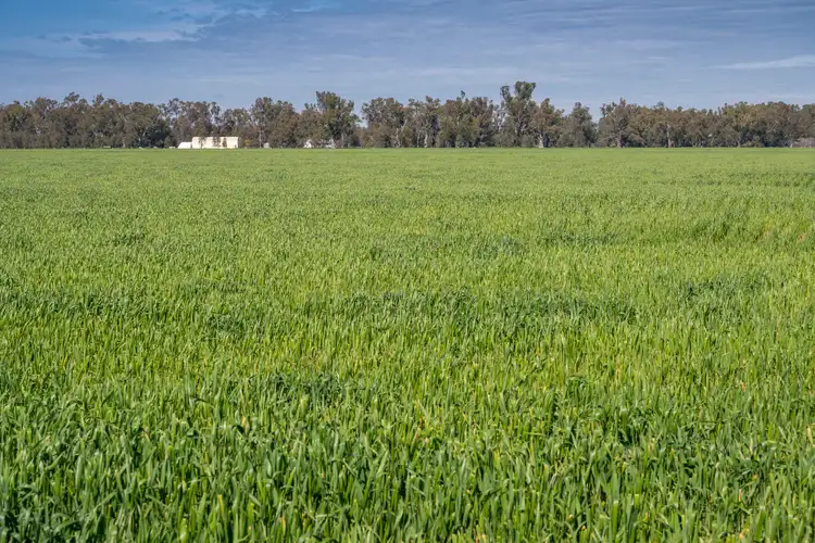 Third view of Homely rural property listing, 1 Ballintine Road, Stewarton VIC 3725