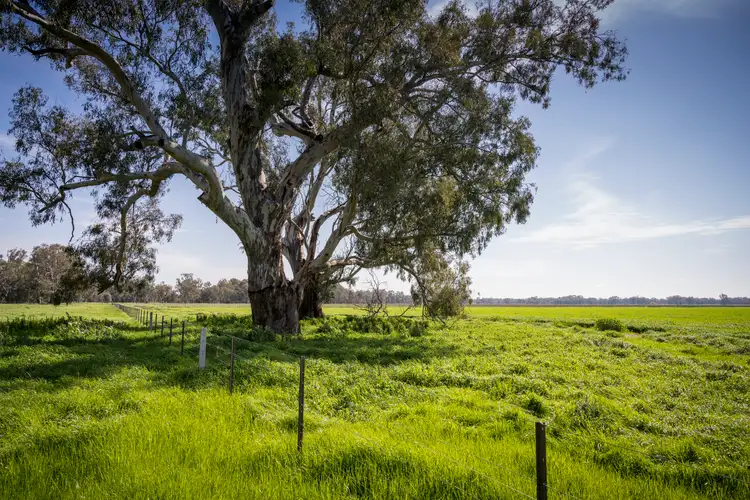 Fourth view of Homely rural property listing, 1 Ballintine Road, Stewarton VIC 3725