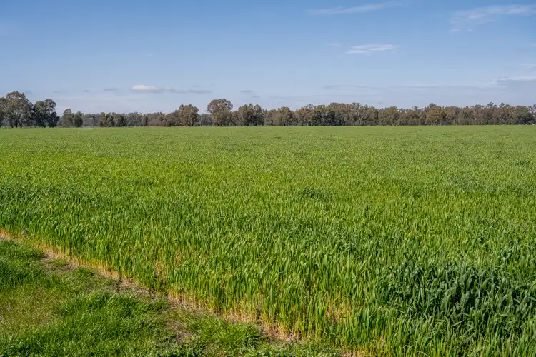 Fifth view of Homely rural property listing, 1 Ballintine Road, Stewarton VIC 3725