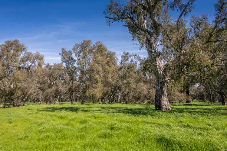 Sixth view of Homely rural property listing, 1 Ballintine Road, Stewarton VIC 3725