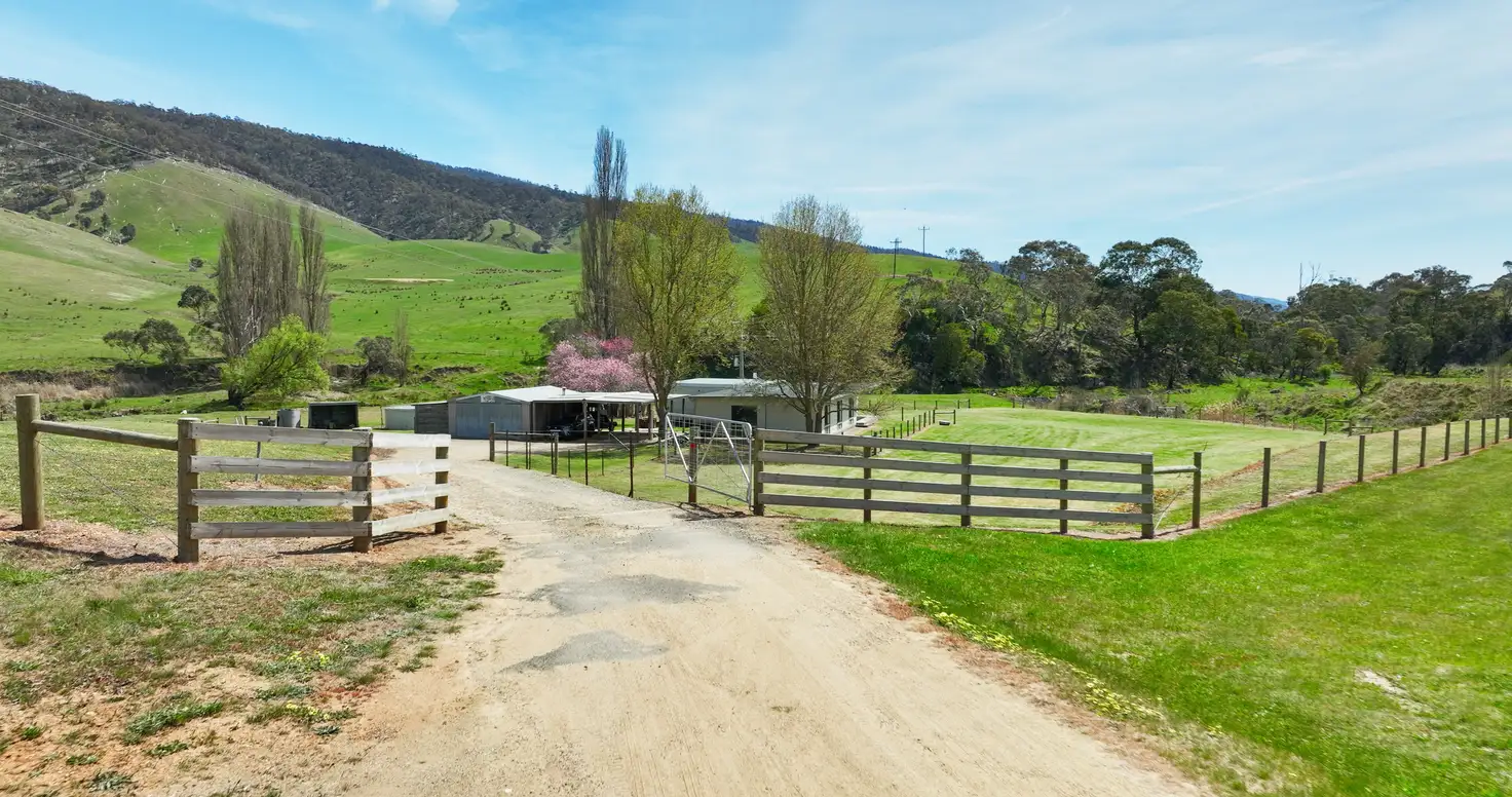 Main view of Homely rural property listing, 353 Omeo Highway, Omeo VIC 3898