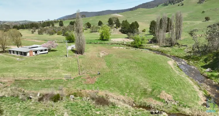 Fourth view of Homely rural property listing, 353 Omeo Highway, Omeo VIC 3898