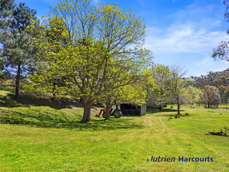 Second view of Homely rural property listing, 356 Mcnallys Road, Strath Creek VIC 3658