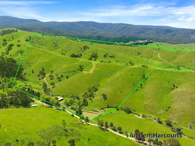 Third view of Homely rural property listing, 356 Mcnallys Road, Strath Creek VIC 3658