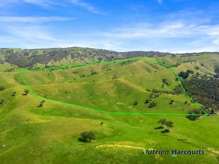 Fourth view of Homely rural property listing, 356 Mcnallys Road, Strath Creek VIC 3658