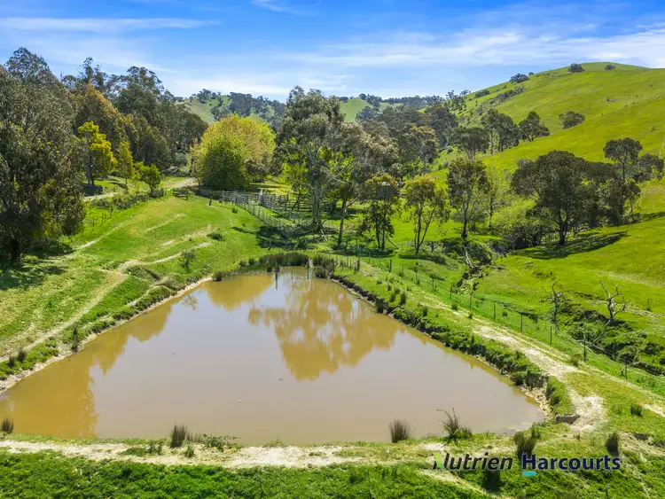 Sixth view of Homely rural property listing, 356 Mcnallys Road, Strath Creek VIC 3658