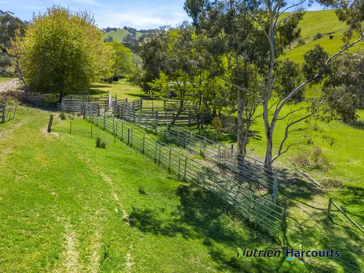 Seventh view of Homely rural property listing, 356 Mcnallys Road, Strath Creek VIC 3658