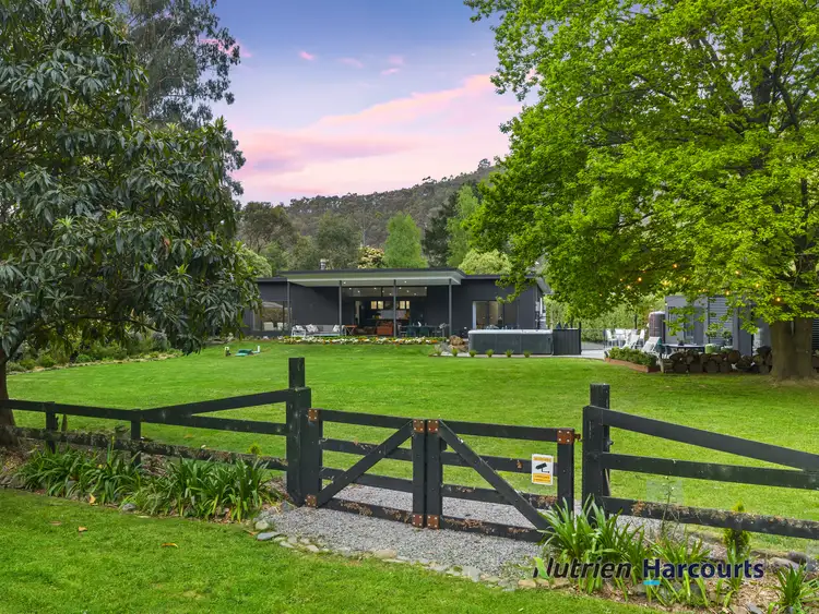 Second view of Homely house listing, 19 Riverside Crescent, Flowerdale VIC 3717