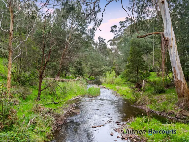 Third view of Homely house listing, 19 Riverside Crescent, Flowerdale VIC 3717