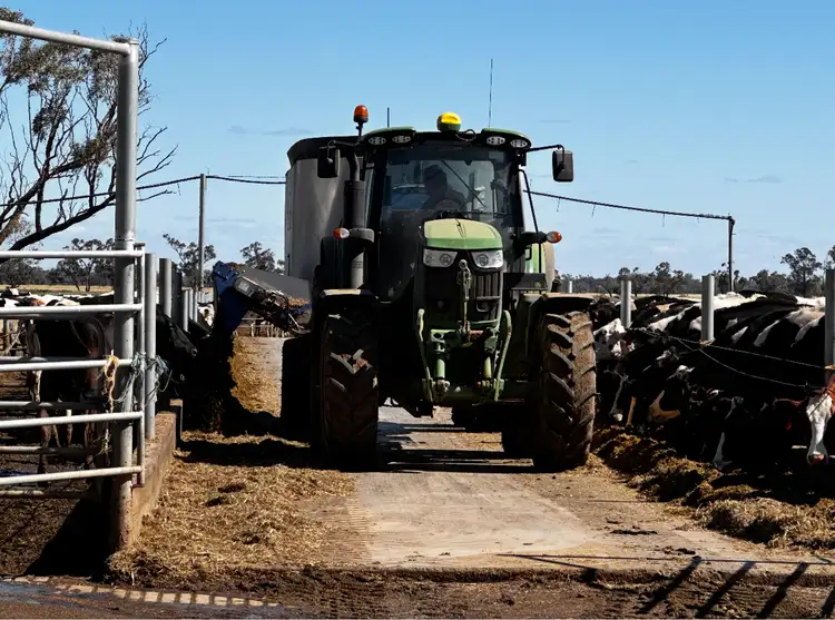 Third view of Homely rural property listing, 229 Elliots Lane, Forbes NSW 2871