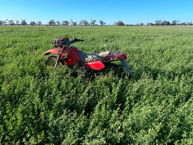 Sixth view of Homely rural property listing, 229 Elliots Lane, Forbes NSW 2871