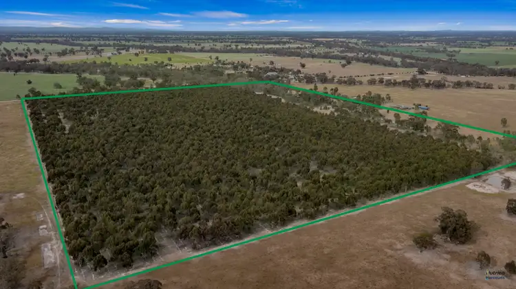 Lot 1 Zocks Road, Arcadia VIC 3631