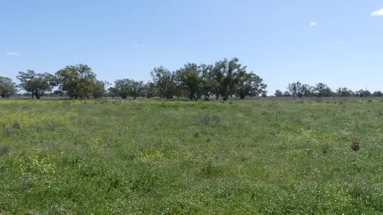 Sixth view of Homely rural property listing, Address available on request