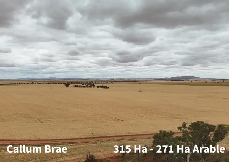 1023 Whim Road, Melrose SA 5483