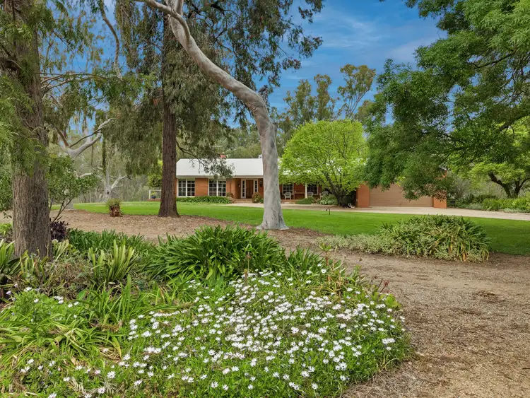 Second view of Homely rural property listing, 43 Peechelba Road, Peechelba East VIC 3678