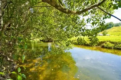 Seventh view of Homely rural property listing, 12 Brookers Road, Crystal Creek NSW