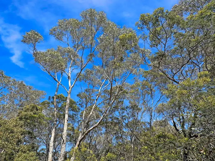 Sixth view of Homely land listing, 2 Barnard Drive, Bicheno TAS 7215