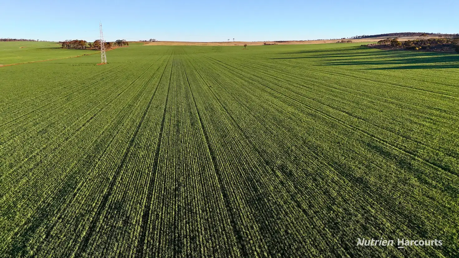 Main view of Homely rural property listing, Lot 379 Garratt Road, Southern Cross WA 6426