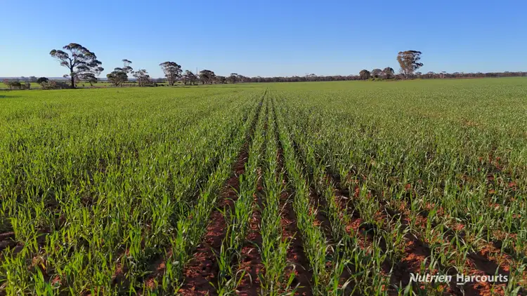 Third view of Homely rural property listing, Lot 379 Garratt Road, Southern Cross WA 6426