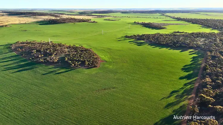 Fourth view of Homely rural property listing, Lot 379 Garratt Road, Southern Cross WA 6426