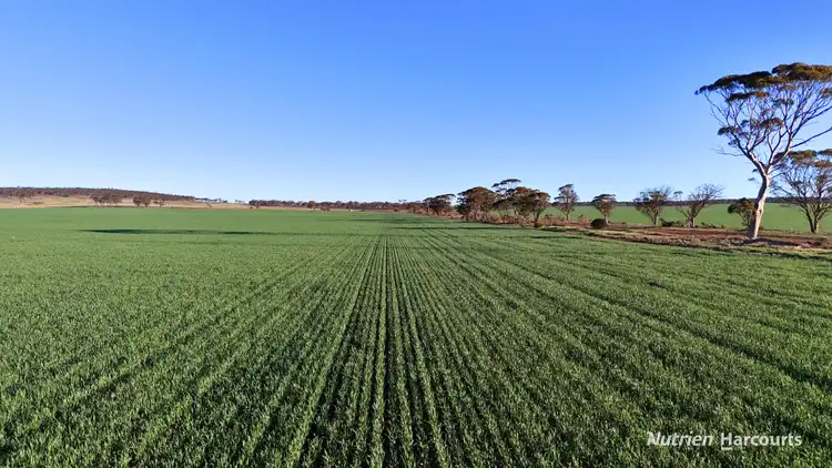 Fifth view of Homely rural property listing, Lot 379 Garratt Road, Southern Cross WA 6426