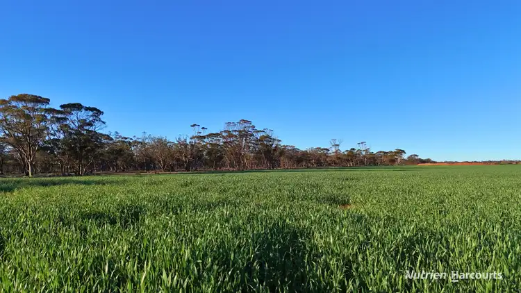 Sixth view of Homely rural property listing, Lot 379 Garratt Road, Southern Cross WA 6426