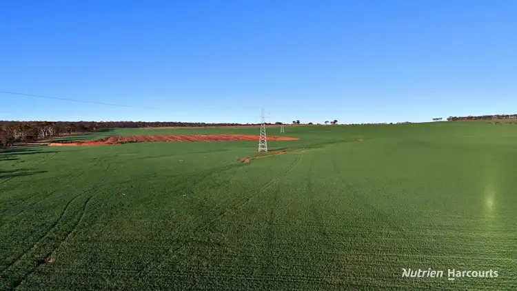 Seventh view of Homely rural property listing, Lot 379 Garratt Road, Southern Cross WA 6426