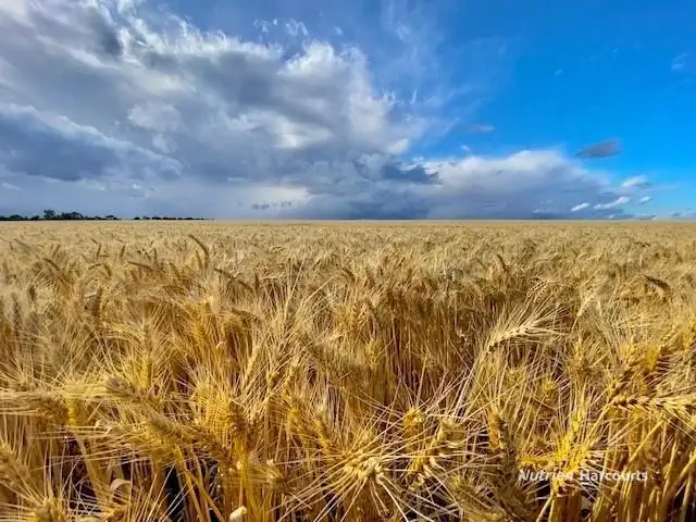 Main view of Homely rural property listing, . Mt Burdett & Knuckle Downs, Esperance WA 6450