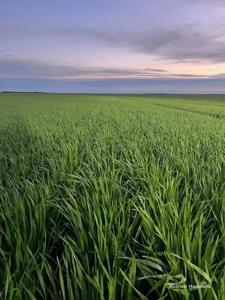 Third view of Homely rural property listing, . Mt Burdett & Knuckle Downs, Esperance WA 6450