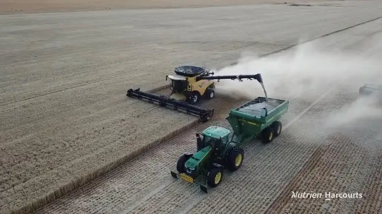 Fifth view of Homely rural property listing, . Mt Burdett & Knuckle Downs, Esperance WA 6450