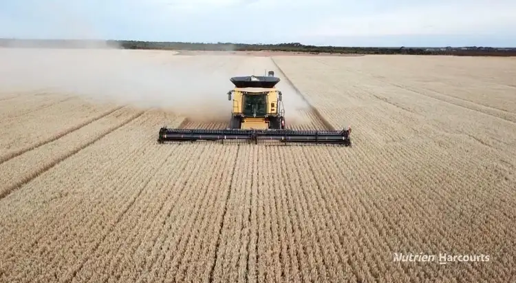 Seventh view of Homely rural property listing, . Mt Burdett & Knuckle Downs, Esperance WA 6450