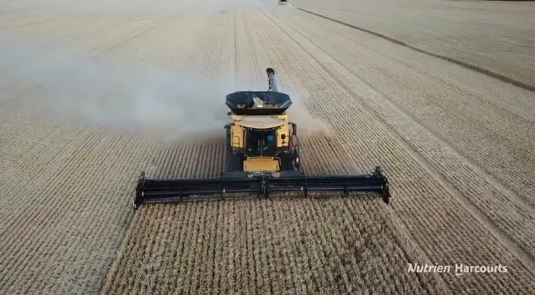 Seventh view of Homely rural property listing, . Mt Burdett & Knuckle Downs, Esperance WA 6450