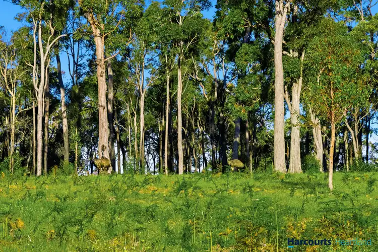 Seventh view of Homely rural property listing, 7953 Brockman Highway, Nannup WA 6275