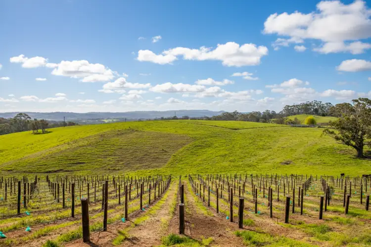 421 Hawthorn Road, Echunga SA 5153