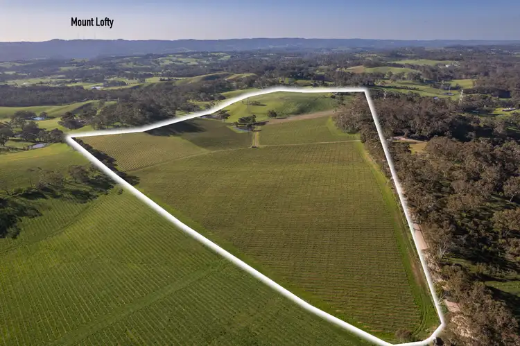 Second view of Homely rural property listing, 421 Hawthorn Road, Echunga SA 5153