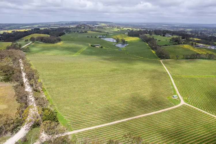 Third view of Homely rural property listing, 421 Hawthorn Road, Echunga SA 5153