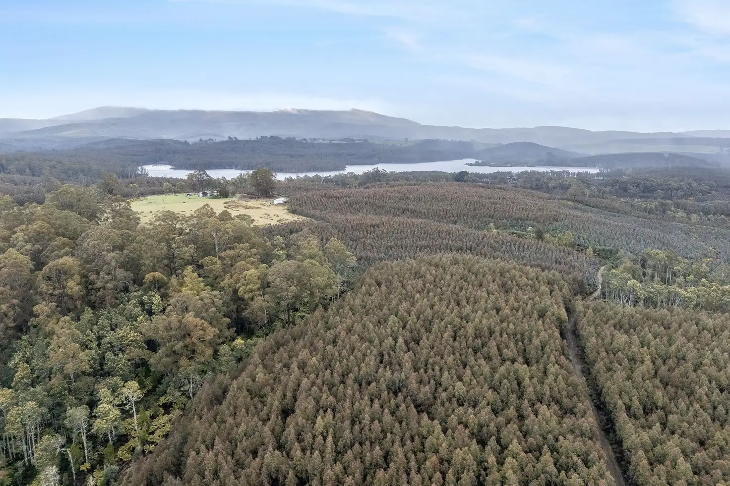 Main view of Homely rural property listing, 555 Diddleum Road, Tayene TAS 7259