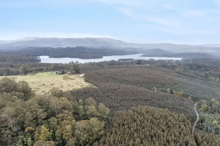 Second view of Homely rural property listing, 555 Diddleum Road, Tayene TAS 7259