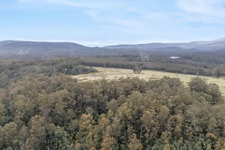 Third view of Homely rural property listing, 555 Diddleum Road, Tayene TAS 7259
