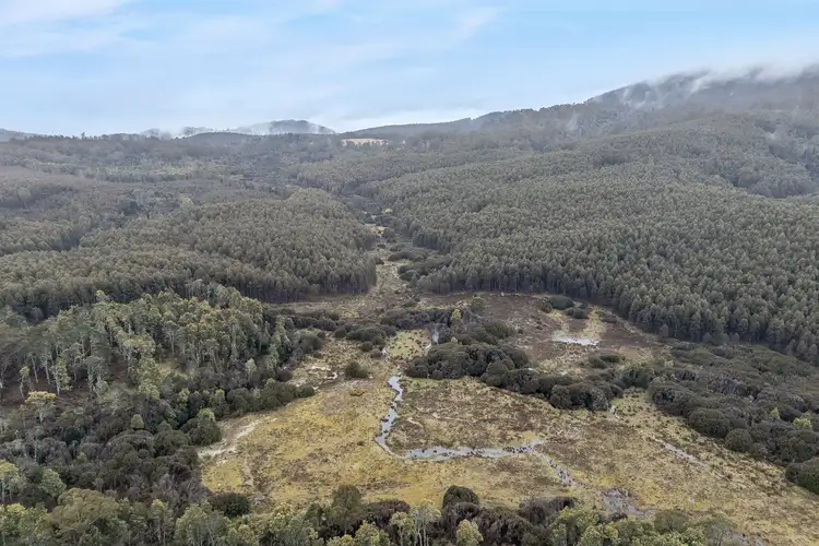 Fourth view of Homely rural property listing, 555 Diddleum Road, Tayene TAS 7259