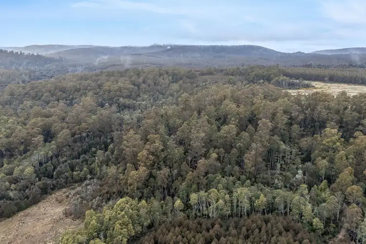 Fifth view of Homely rural property listing, 555 Diddleum Road, Tayene TAS 7259