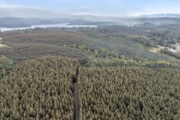 Seventh view of Homely rural property listing, 555 Diddleum Road, Tayene TAS 7259