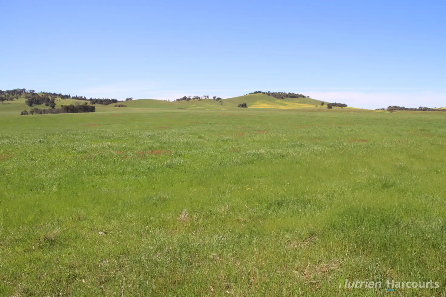 Main view of Homely rural property listing, Lots 2 & 3 Blackbottom Road, Langi Kal Kal VIC 3352