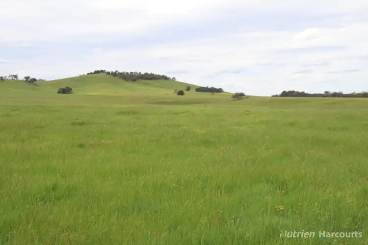 Third view of Homely rural property listing, Lots 2 & 3 Blackbottom Road, Langi Kal Kal VIC 3352