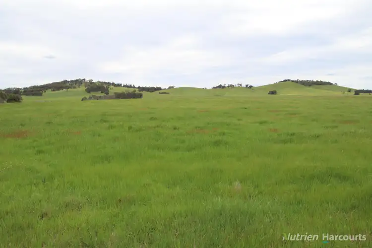 Sixth view of Homely rural property listing, Lots 2 & 3 Blackbottom Road, Langi Kal Kal VIC 3352