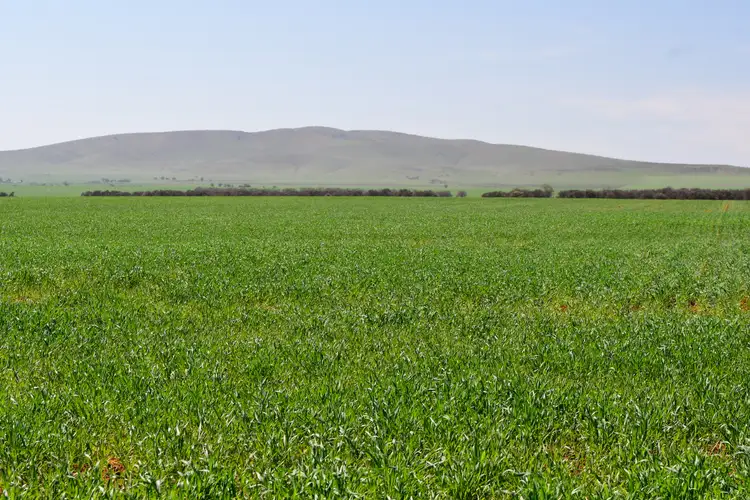 Second view of Homely rural property listing, SECTION 121 Orroroo Road, Willowie SA 5431