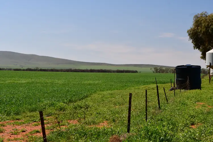 Sixth view of Homely rural property listing, SECTION 121 Orroroo Road, Willowie SA 5431