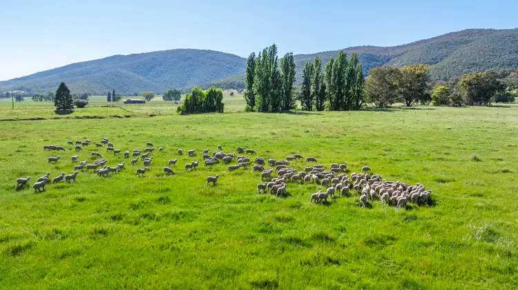 60 Darmodys Road, Leneva VIC 3691